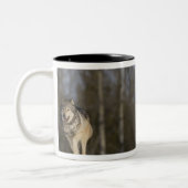 Tasse 2 Couleurs Captif, Duluth, Minnesota, Etats-Unis 2 (Gauche)