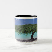 Tasse 2 Couleurs Caraïbes, Aruba. Plage d'Eagle (Centre)