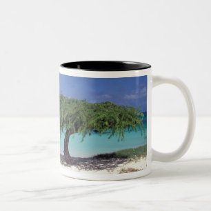 Tasse 2 Couleurs Caraïbes, Aruba. Plage Eagle