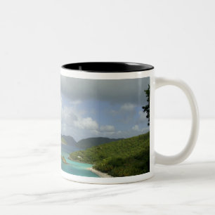 Tasse 2 Couleurs Caraïbes, îles Vierges américaines, St. John, Trun