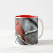 Tasse 2 Couleurs Cardinal masculin (Devant droit)