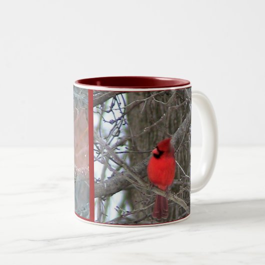 Tasse 2 Couleurs Cardinaux (Devant droit)