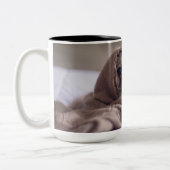 Tasse 2 Couleurs Carlin (Gauche)