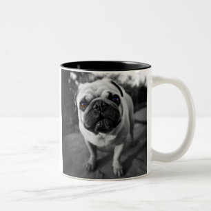 Tasse 2 Couleurs Carlin beau