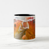 Tasse 2 Couleurs Carpes de Koi (Centre)