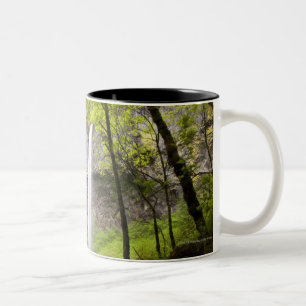 Tasse 2 Couleurs Cascade brouillée autour de verdure luxuriante en