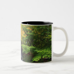 Tasse 2 Couleurs Cascade brouillée de roche, arbres verts et