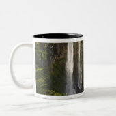 Tasse 2 Couleurs Cascade de Chamarel-la plus haute de Maurice, plus (Gauche)