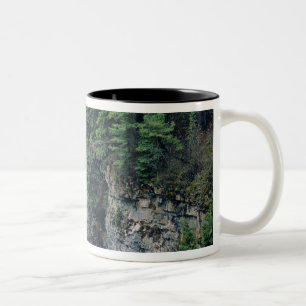 Tasse 2 Couleurs Cascade sur Falls Creek dans Lewis et Clark