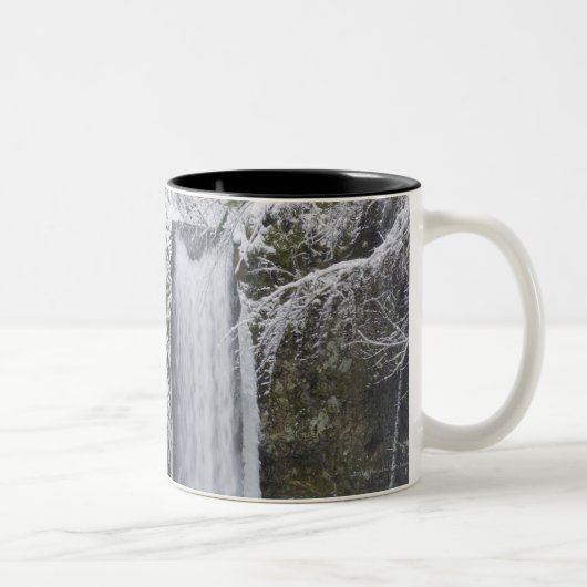 Tasse 2 Couleurs Cascade trouble entourée par une forêt de Milou (Droit)