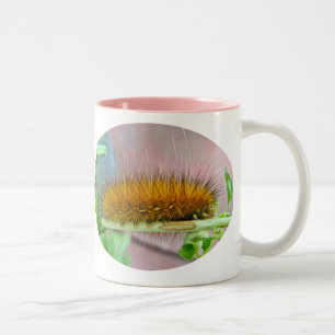 Tasse 2 Couleurs Caterpillar de l'ours jaune Tiger Moth Articles