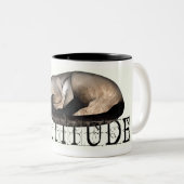 Tasse 2 Couleurs Cattitude siamois (Devant droit)