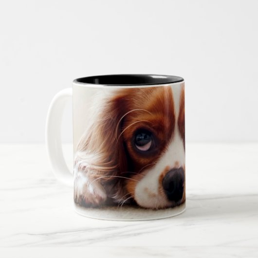 Tasse 2 Couleurs Cavalier King Charles Spaniel (Devant gauche)