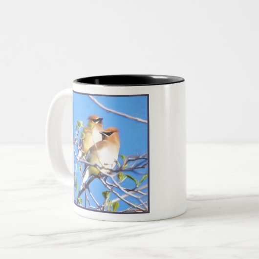 Tasse 2 Couleurs Cèdre (Devant gauche)