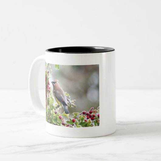 Tasse 2 Couleurs Cèdre à cire (Devant gauche)