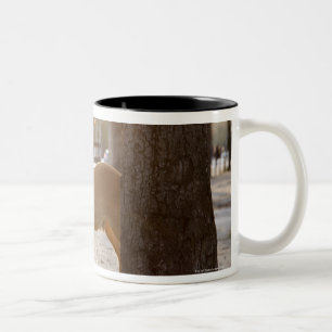 Tasse 2 Couleurs Cerfs communs dans la ville