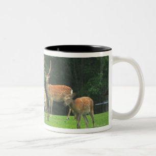 Tasse 2 Couleurs Cerfs communs de Sika se tenant dans une clairière