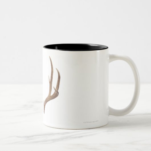 Tasse 2 Couleurs Cerfs communs en dix points (Droit)