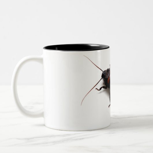 Tasse 2 Couleurs Cessez le Hisser (Gauche)