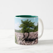 Tasse 2 Couleurs Champ de Boulder (Devant droit)