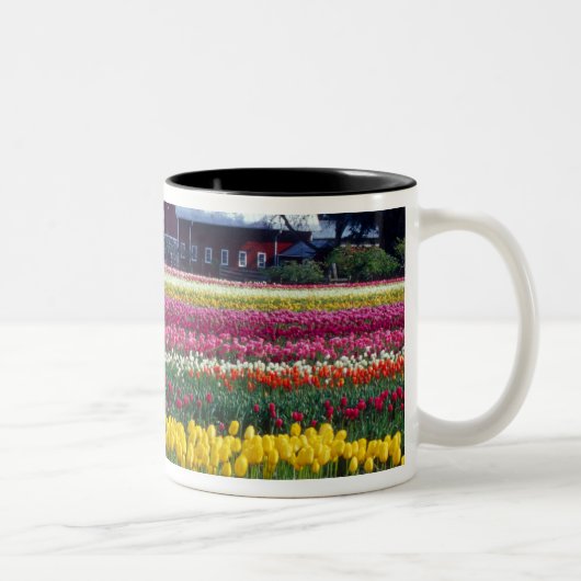 Tasse 2 Couleurs Champ de tulipes (Droit)