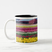 Tasse 2 Couleurs Champ de tulipes (Gauche)