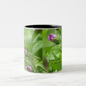 Tasse 2 Couleurs Chanson de Salomon 2:1 (Centre)