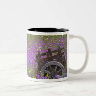 Tasse 2 Couleurs Chariot en bois dans un champ de Phlox, Bleus Bonn