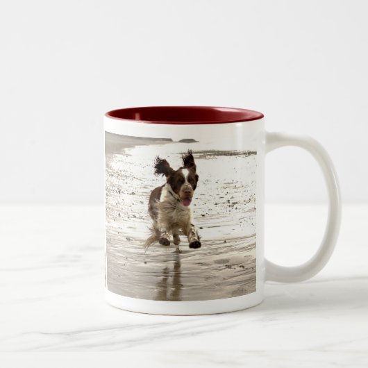 Tasse 2 Couleurs Charlie Springer (Droit)