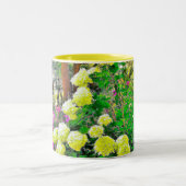 Tasse 2 Couleurs Chartreuse Hydrangea Limelight Garden (Centre)