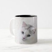 Tasse 2 Couleurs Chat blanc recherchant (Devant gauche)
