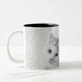 Tasse 2 Couleurs Chat blanc recherchant (Gauche)