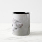 Tasse 2 Couleurs Chat blanc recherchant (Centre)