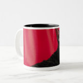 Tasse 2 Couleurs Chat cornouaillais de rex (Devant gauche)