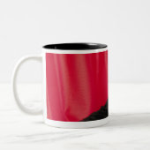 Tasse 2 Couleurs Chat cornouaillais de rex (Gauche)