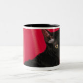Tasse 2 Couleurs Chat cornouaillais de rex (Centre)
