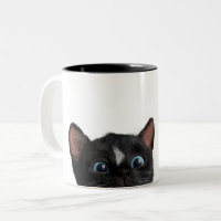 Chat curieux mignon