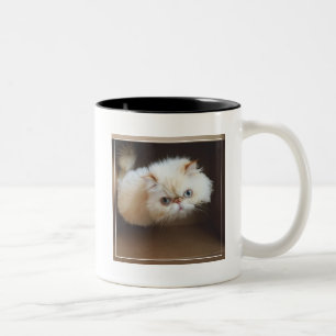 Tasse 2 Couleurs Chat dans une boîte
