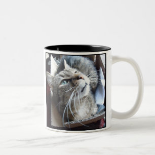 Tasse 2 Couleurs Chat de la boîte o