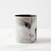 Tasse 2 Couleurs Chat de Ragdoll (Centre)