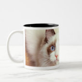 Tasse 2 Couleurs Chat de Ragdoll sur le plancher, vue élevée (Gauche)