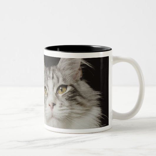 Tasse 2 Couleurs Chat de ragondin adulte du Maine (Droit)
