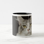 Tasse 2 Couleurs Chat de ragondin adulte du Maine (Centre)