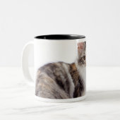Tasse 2 Couleurs Chat de ragondin du Maine (Devant gauche)
