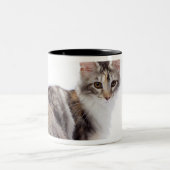 Tasse 2 Couleurs Chat de ragondin du Maine (Centre)