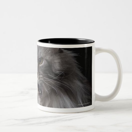 Tasse 2 Couleurs Chat de ragondin du Maine 2 (Droit)