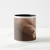 Tasse 2 Couleurs Chat de sommeil (Centre)