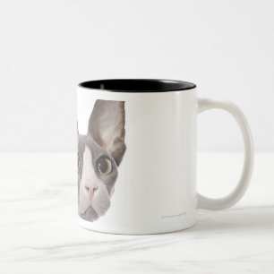 Tasse 2 Couleurs Chat de Sphynx avec l'expression étonnée