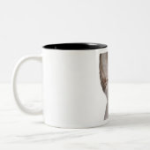 Tasse 2 Couleurs Chat de Sphynx avec l'expression étonnée (Gauche)