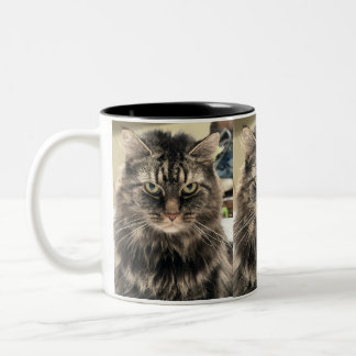 Tasse 2 Couleurs Chat déçu